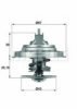 FORD 1025491 Thermostat, coolant